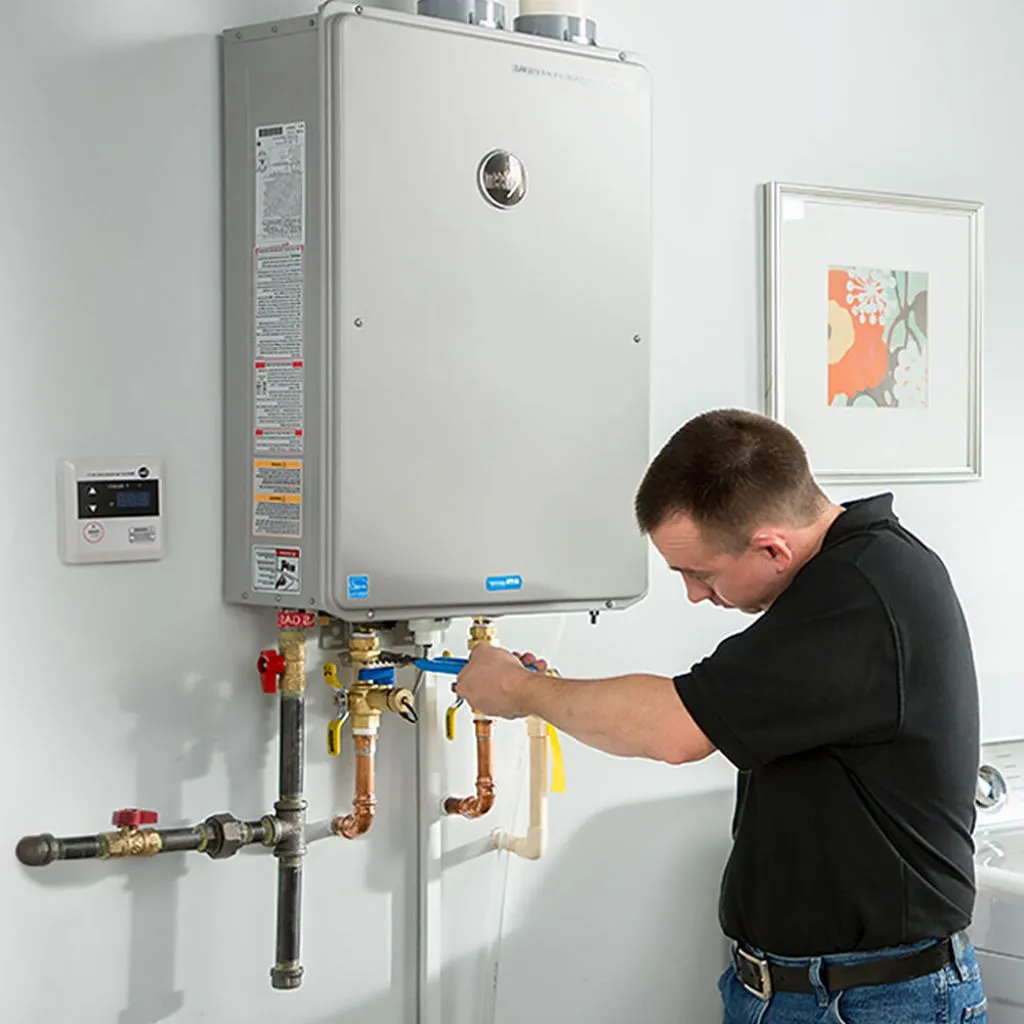 tankless water heater repair in Swanton, NE